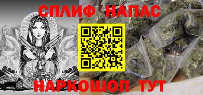 дживик Можга