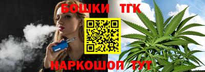 дживик Можга