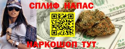 дживик Можга