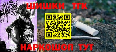 дживик Можга