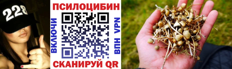 купить наркоту  Урюпинск  Псилоцибиновые грибы Magic Shrooms 