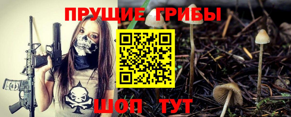 Галлюциногенные грибы Cubensis Урюпинск