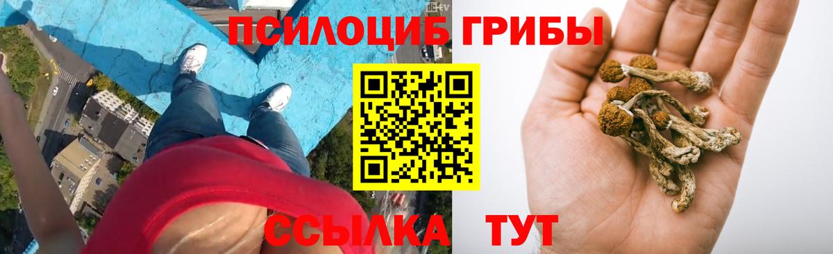 Урюпинск  Псилоцибиновые грибы MAGIC MUSHROOMS  Вход с VPN 