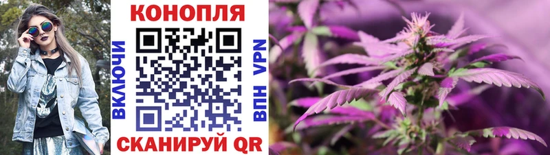 Конопля Amnesia  купить   Урюпинск 