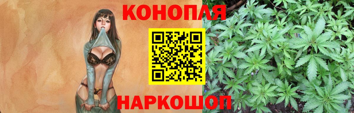 Бошки Шишки семена  МАРИХУАНА семена  Вход с VPN  Урюпинск 